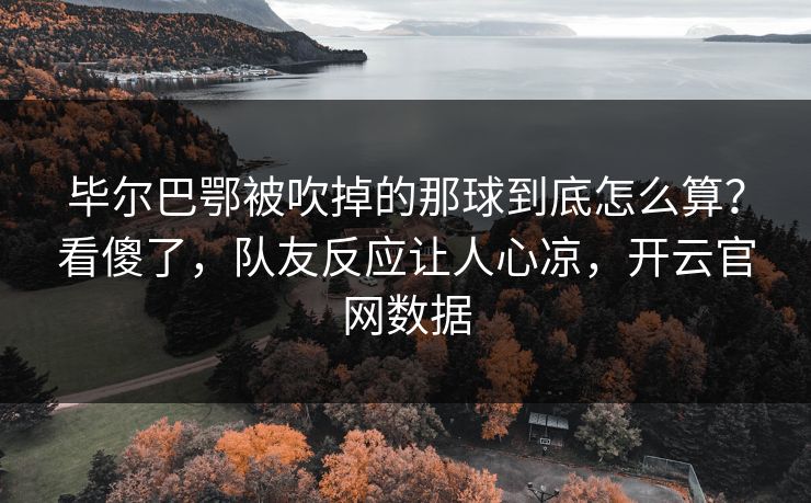 毕尔巴鄂被吹掉的那球到底怎么算？看傻了，队友反应让人心凉，开云官网数据
