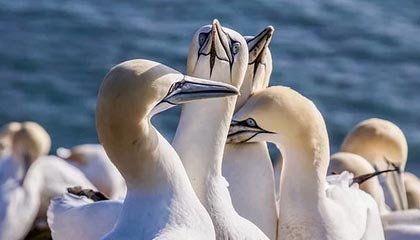 英超这一夜罗德里戈的被换下太扎心，看傻了，一秒表情暴露了，开云官网赛况