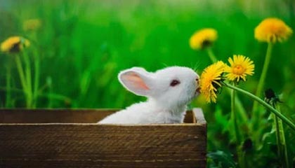 马赛赛后声明一发，战术分歧反而越滚越大，开云赛况：更衣室里一句话炸了