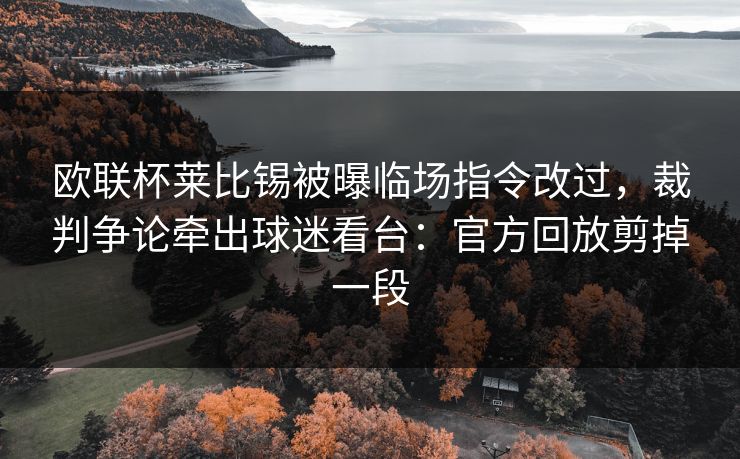 欧联杯莱比锡被曝临场指令改过，裁判争论牵出球迷看台：官方回放剪掉一段